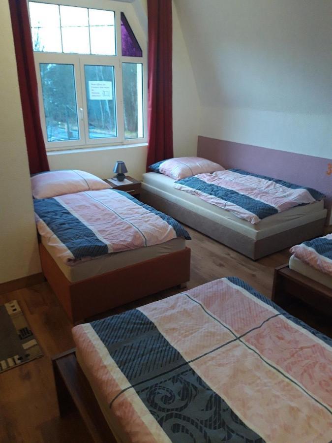 Ferienwohnung Erz-Hostel Thermalbad Wiesenbad Екстер'єр фото