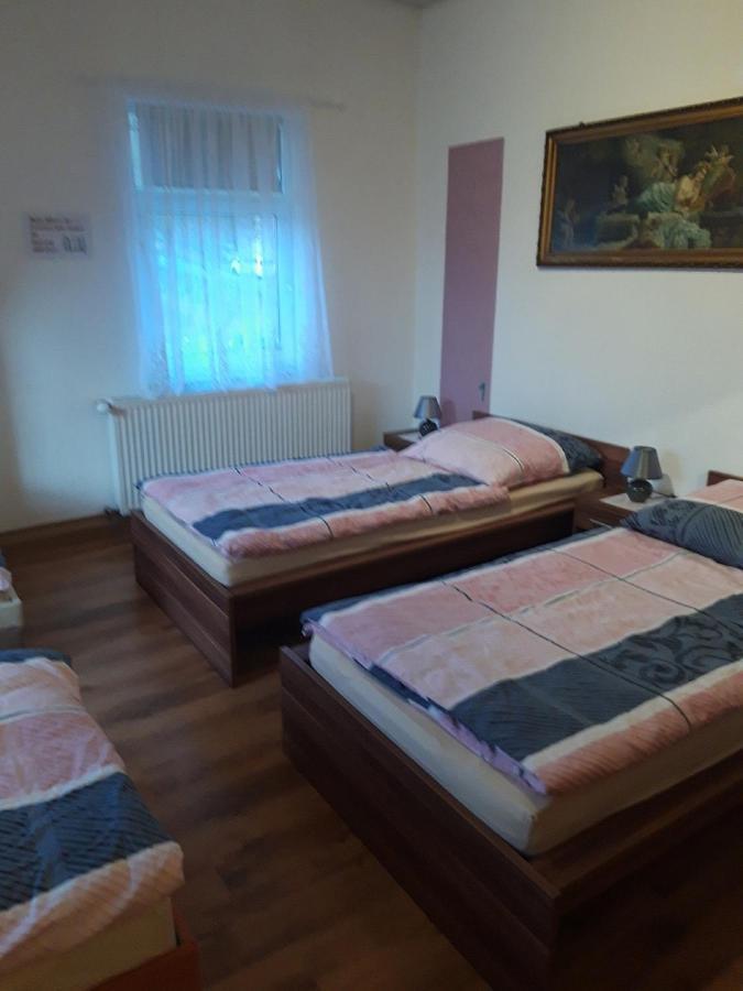 Ferienwohnung Erz-Hostel Thermalbad Wiesenbad Екстер'єр фото