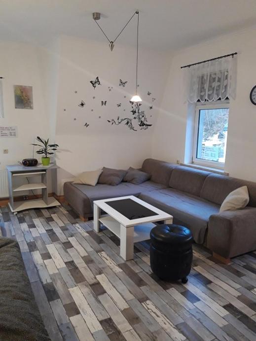 Ferienwohnung Erz-Hostel Thermalbad Wiesenbad Екстер'єр фото