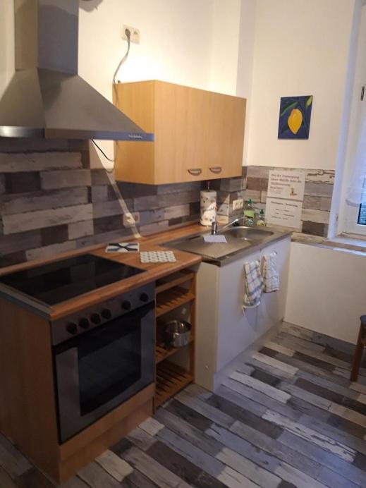 Ferienwohnung Erz-Hostel Thermalbad Wiesenbad Екстер'єр фото